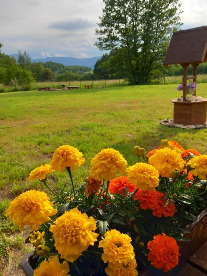 Dolina Sosny Holiday home Bukowiec (Lower Silesia)