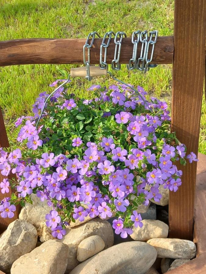 Dolina Sosny Holiday home