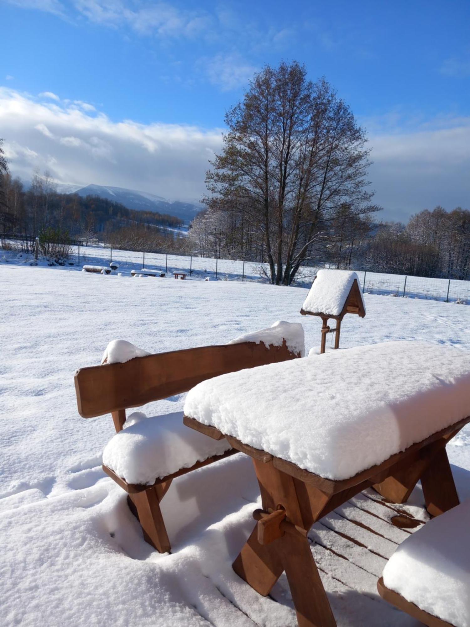 Dolina Sosny Holiday home