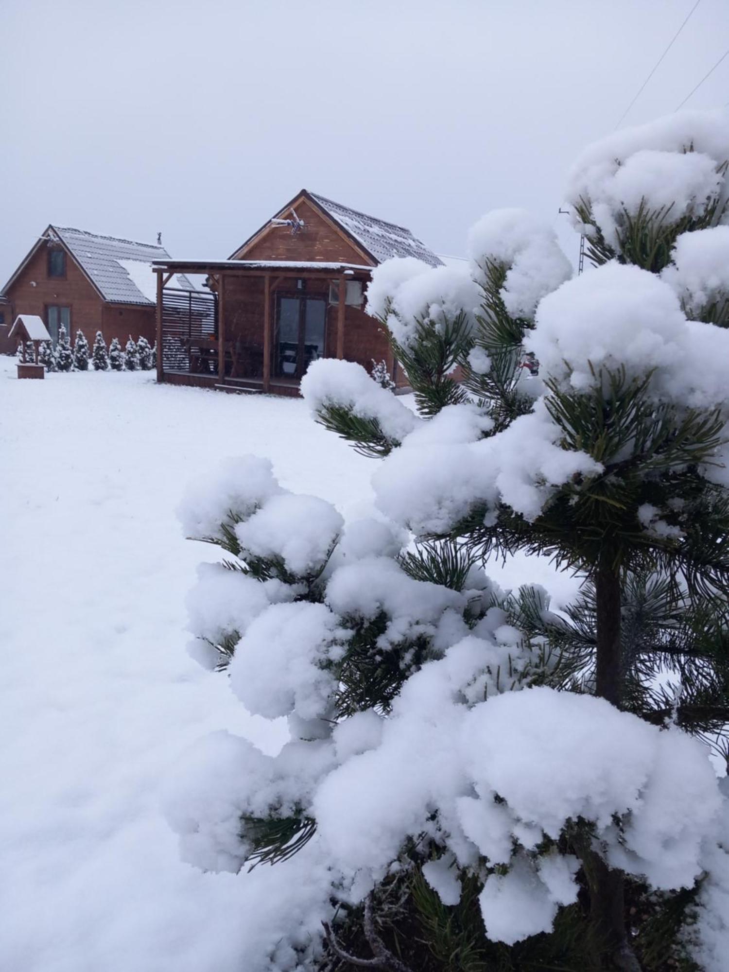 Holiday home Dolina Sosny *